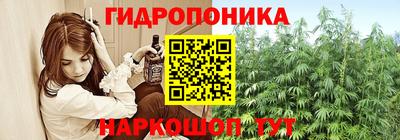 эйфоретик Кандалакша