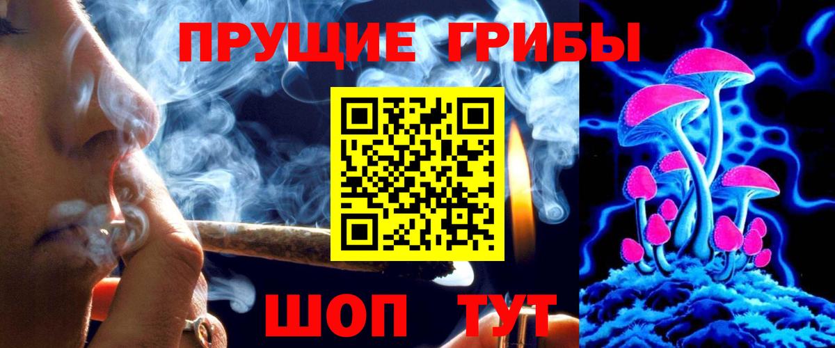 Псилоцибиновые грибы Psilocybe Менделеевск